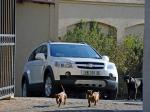 Chevrolet Captiva 2007 года (ZA)